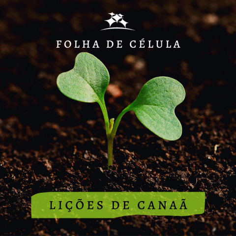 LIÇÕES DE CANAÃ
