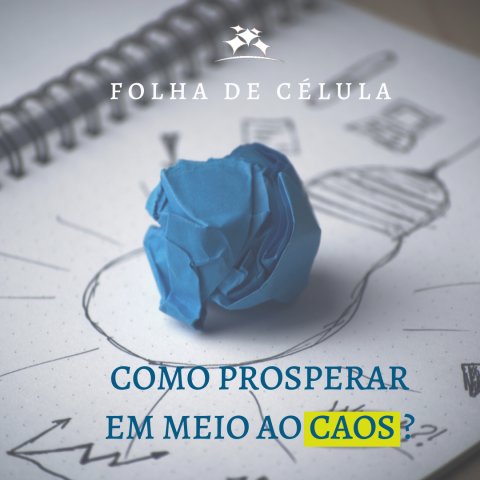 COMO PROSPERAR EM MEIO AO CAOS