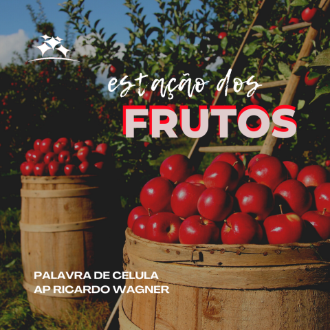 ESTAÇÃO DOS FRUTOS