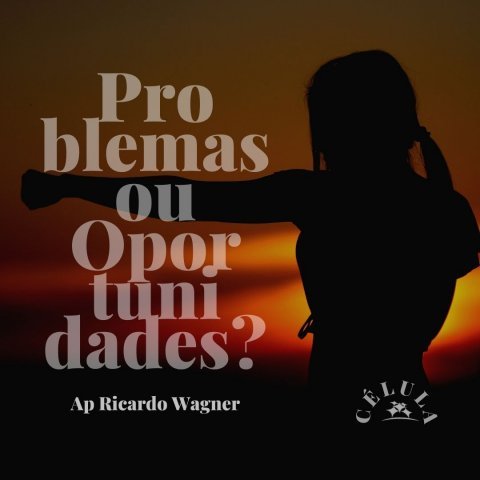 PROBLEMAS OU OPORTUNIDADES