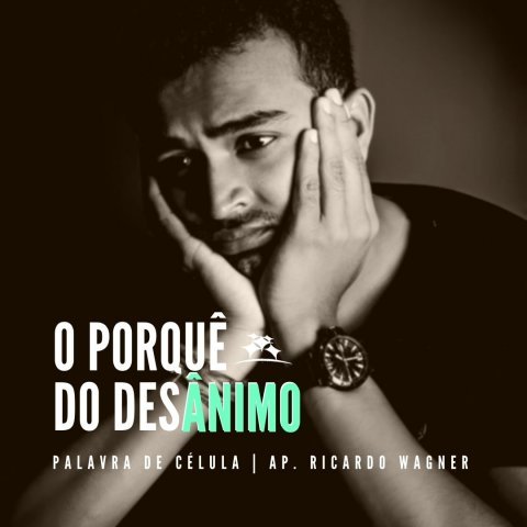 O PORQUÊ DO DESÂNIMO