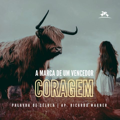 CORAGEM: A MARCA DE UM VENCEDOR