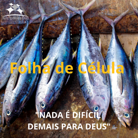 NADA É DIFÍCIL DEMAIS PARA DEUS