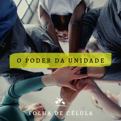 O PODER DA UNIDADE