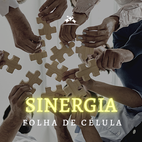 SINERGIA