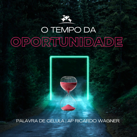 O TEMPO DA OPORTUNIDADE