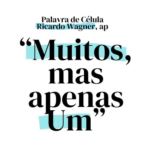 MUITOS, MAS APENAS UM