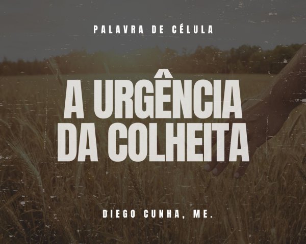 A URGÊNCIA DA COLHEITA
