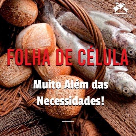 MUITO ALÉM DAS NECESSIDADES