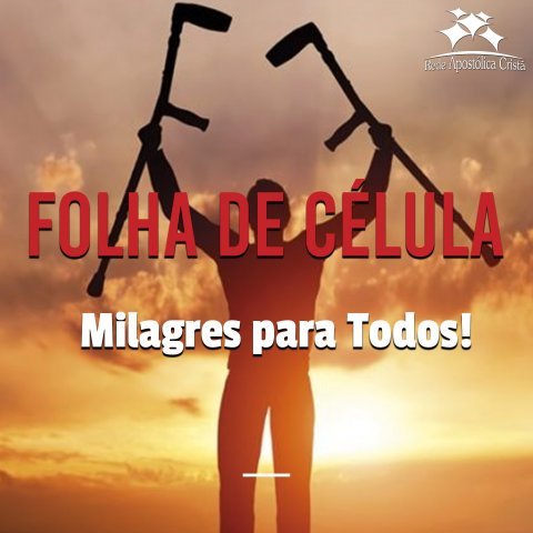 MILAGRES PARA TODOS