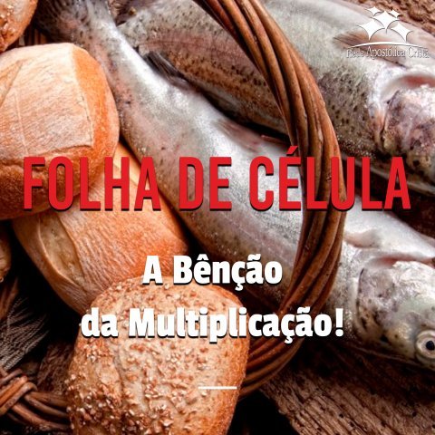 A BENÇÃO D MULTIPLICAÇÃO