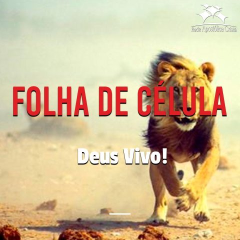 O DEUS VIVO
