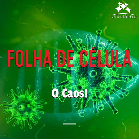 O CAOS