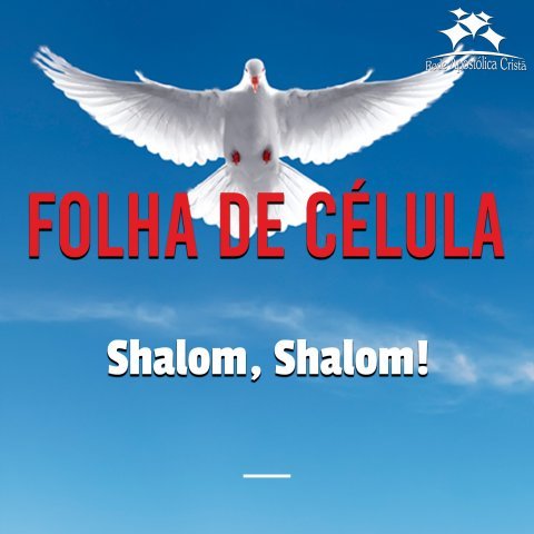 SHALOM, SHALOM!