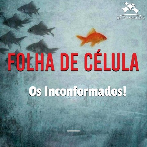 OS INCONFORMADOS