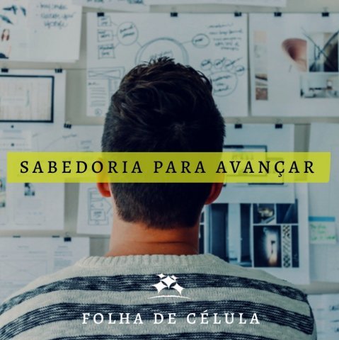 SABEDORIA PARA AVANÇAR
