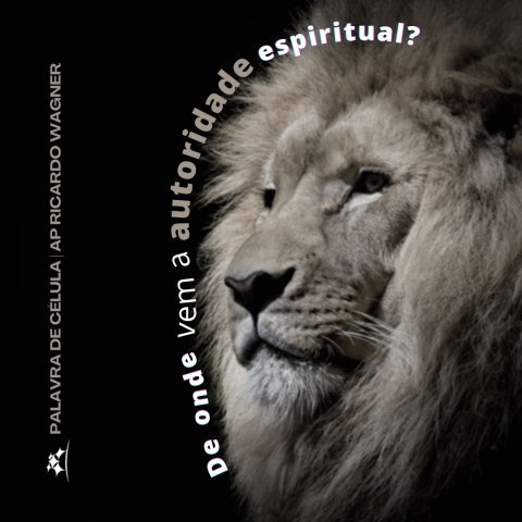 DE ONDE VEM A AUTORIDADE ESPIRITUAL