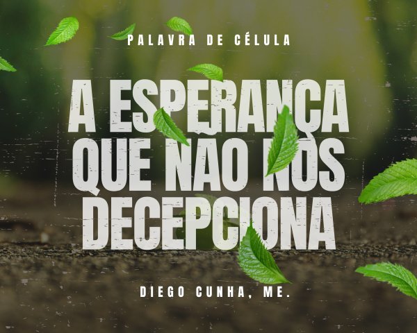 A ESPERANÇA QUE NÃO NOS DECEPCIONA