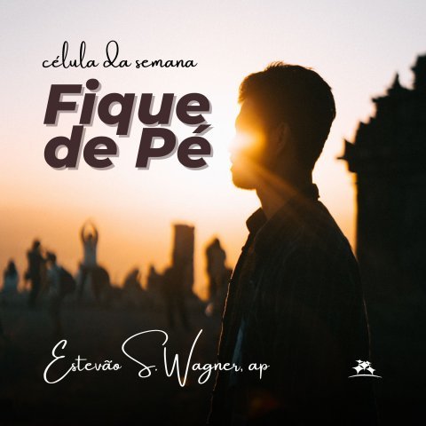 FIQUE DE PÉ