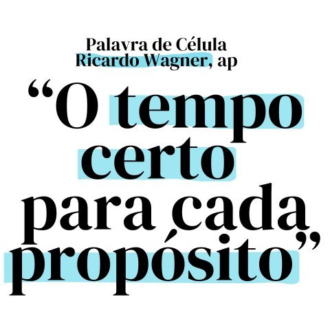 O TEMPO CERTO PARA CADA PROPÓSITO