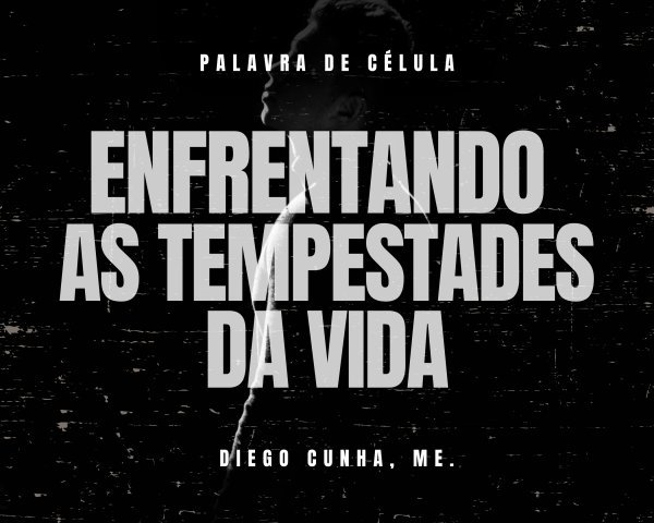 ENFRENTANDO AS TEMPESTADES DA VIDA